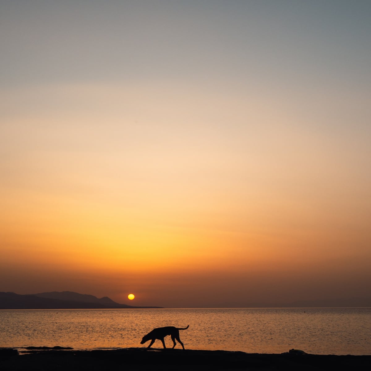 Summer Secrets: The Baths of Helen of Troy — gallery image